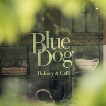 blue dog bakery